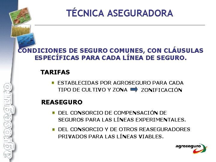 TÉCNICA ASEGURADORA CONDICIONES DE SEGURO COMUNES, CON CLÁUSULAS ESPECÍFICAS PARA CADA LÍNEA DE SEGURO.