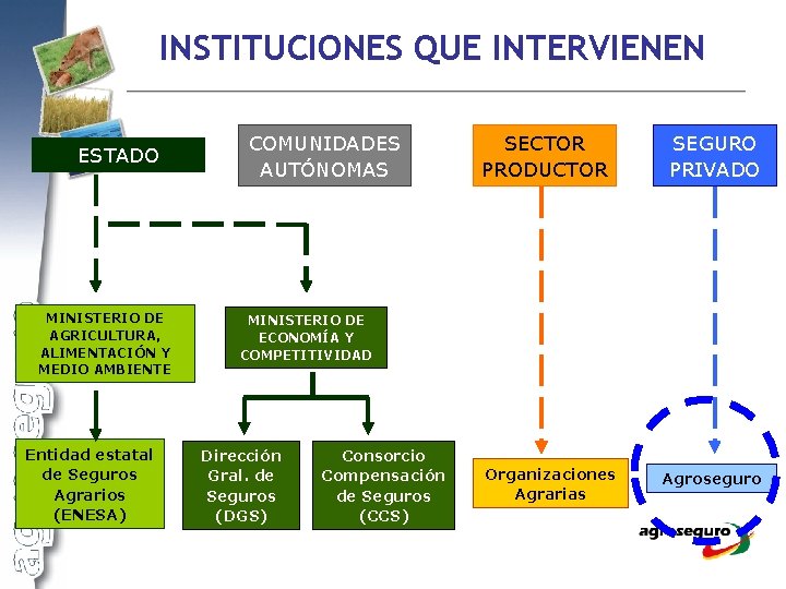 INSTITUCIONES QUE INTERVIENEN ESTADO MINISTERIO DE AGRICULTURA, ALIMENTACIÓN Y MEDIO AMBIENTE Entidad estatal de