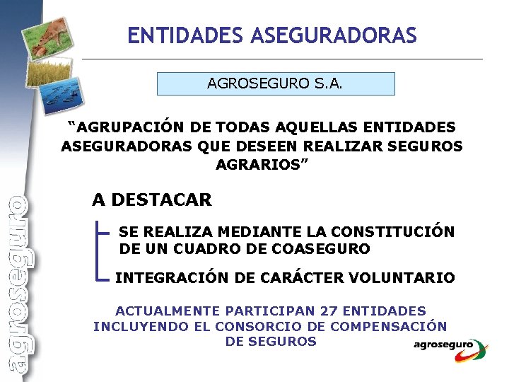 ENTIDADES ASEGURADORAS AGROSEGURO S. A. “AGRUPACIÓN DE TODAS AQUELLAS ENTIDADES ASEGURADORAS QUE DESEEN REALIZAR