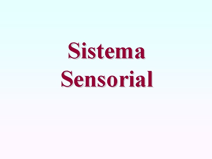 Sistema Sensorial 