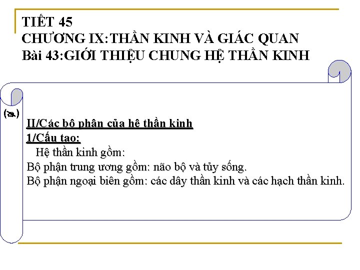 TIẾT 45 CHƯƠNG IX: THẦN KINH VÀ GIÁC QUAN Bài 43: GIỚI THIỆU CHUNG