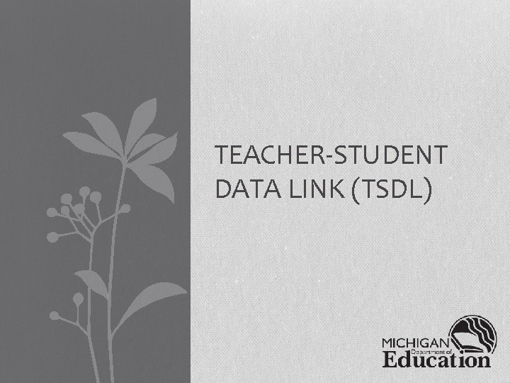 TEACHER-STUDENT DATA LINK (TSDL) 