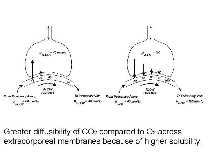 Greater diffusibility of CO 2 compared to O 2 across extracorporeal membranes because of Greater diffusibility of CO 2 compared to O 2 across extracorporeal membranes because of