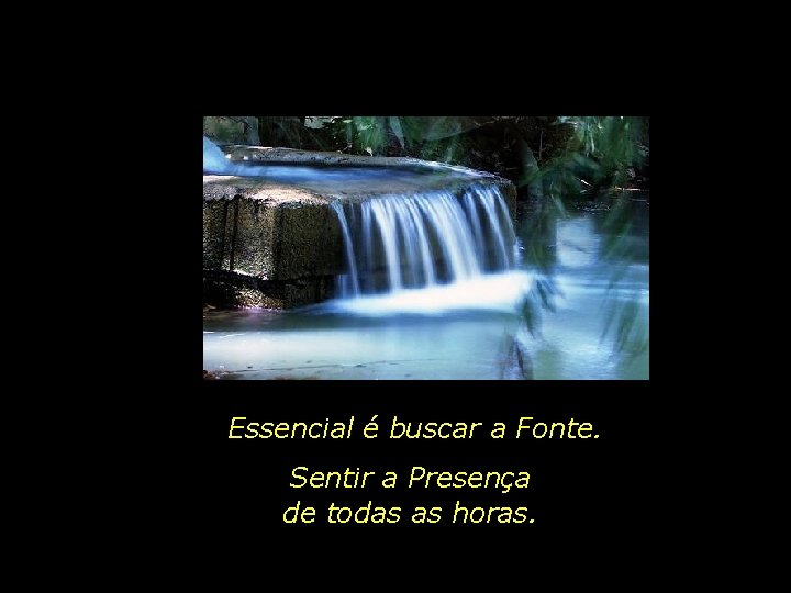 Essencial é buscar a Fonte. Sentir a Presença de todas as horas. 