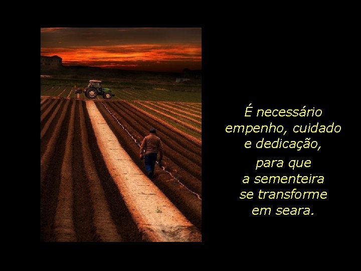 É necessário empenho, cuidado e dedicação, para que a sementeira se transforme em seara.