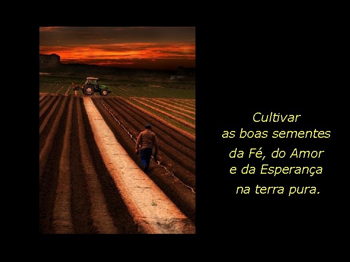 Cultivar as boas sementes da Fé, do Amor e da Esperança na terra pura.