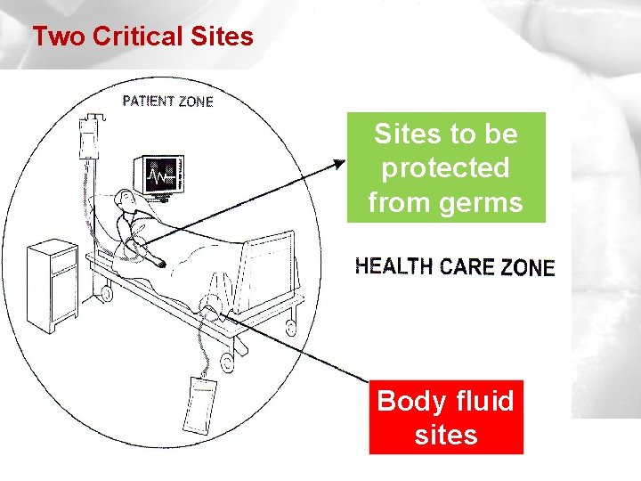 Two Critical Sites to be protected from germs Body fluid sites 