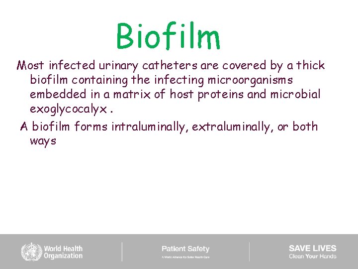 Biofilm Most infected urinary catheters are covered by a thick biofilm containing the infecting