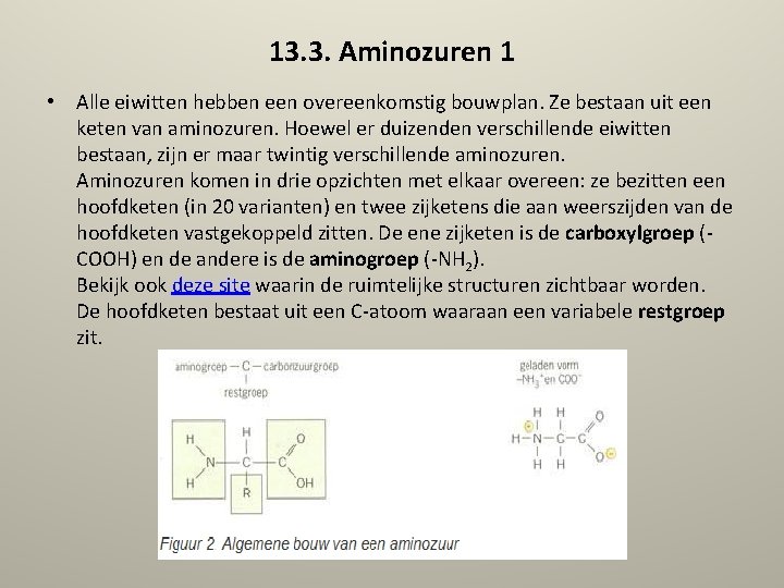13. 3. Aminozuren 1 • Alle eiwitten hebben een overeenkomstig bouwplan. Ze bestaan uit