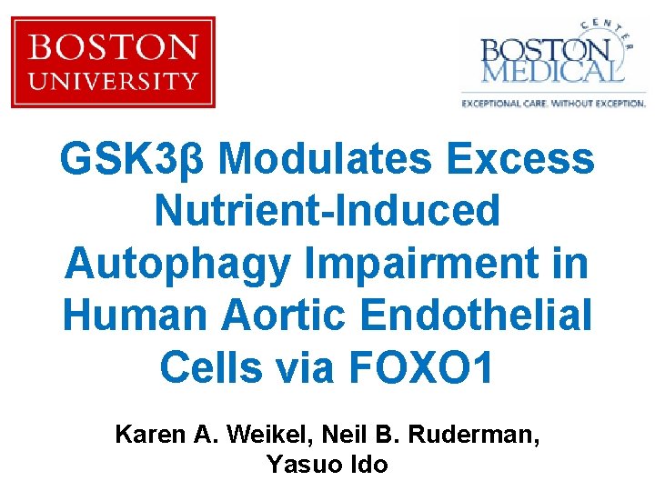 GSK 3β Modulates Excess Nutrient-Induced Autophagy Impairment in Human Aortic Endothelial Cells via FOXO