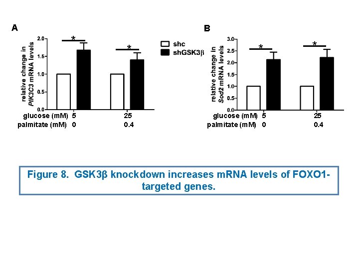 A B * glucose (m. M) 5 palmitate (m. M) 0 * 25 0. A B * glucose (m. M) 5 palmitate (m. M) 0 * 25 0.