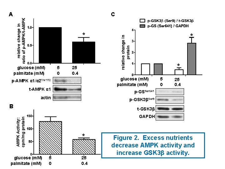 A C * glucose (m. M) palmitate (m. M) 5 0 * * 25 A C * glucose (m. M) palmitate (m. M) 5 0 * * 25