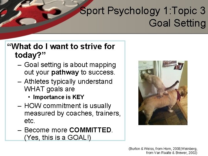 Sport Psychology 1: Topic 3 Goal Setting “What do I want to strive for