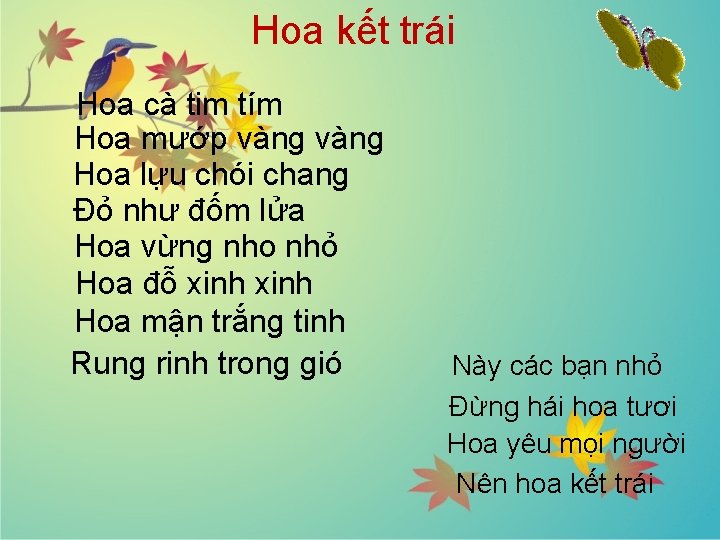 Hoa kết trái Hoa cà tim tím Hoa mướp vàng Hoa lựu chói chang