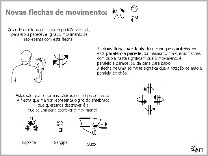 Novas flechas de movimento: Quando o antebraço está em posição vertical, paralelo a parede,