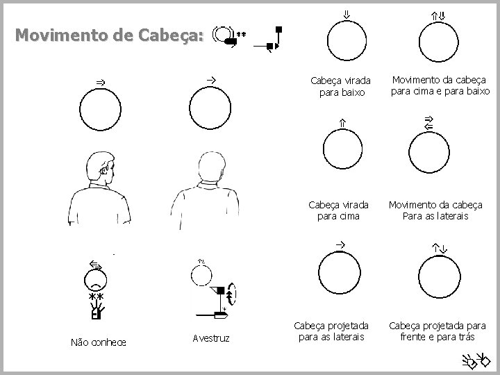 Movimento de Cabeça: Não conhece Avestruz Cabeça virada para baixo Movimento da cabeça para
