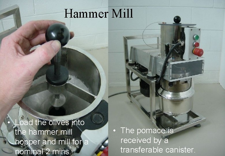 Hammer Mill • Load the olives into the hammer mill hopper and mill for