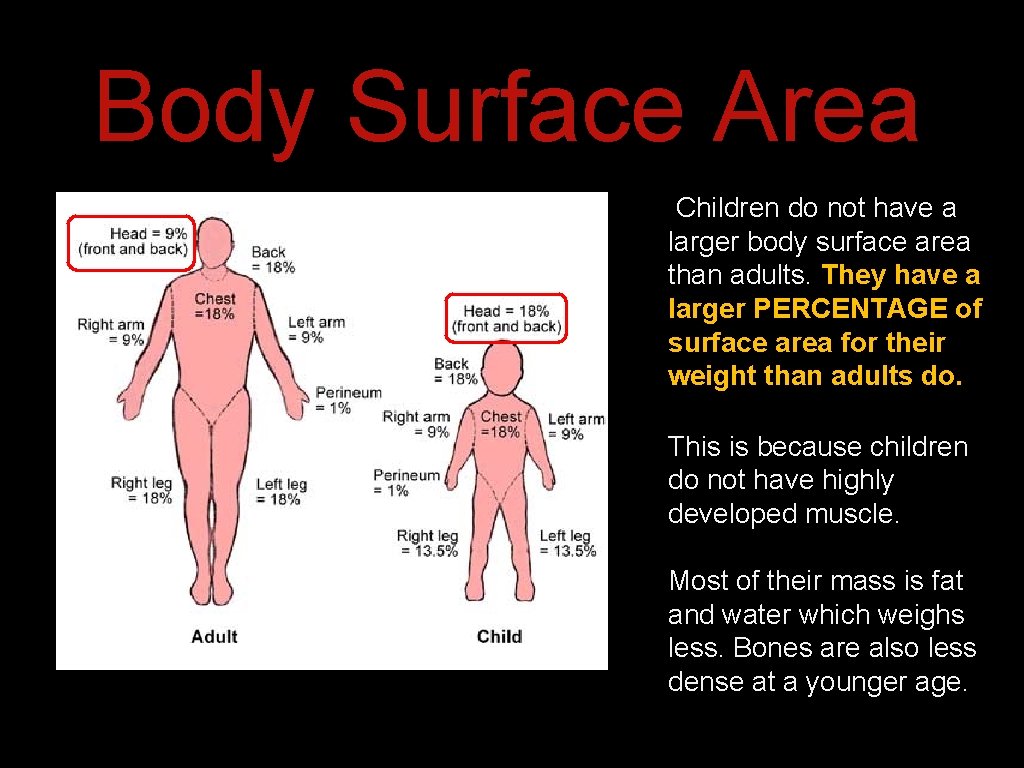 Body Surface Area Children do not have a larger body surface area than adults. Body Surface Area Children do not have a larger body surface area than adults.