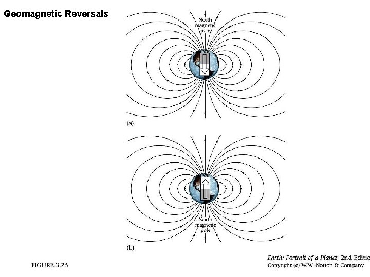 Geomagnetic Reversals 