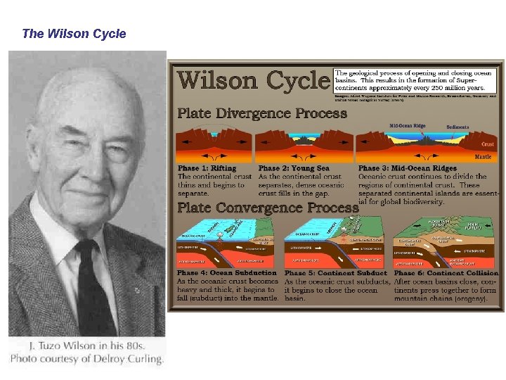 The Wilson Cycle 