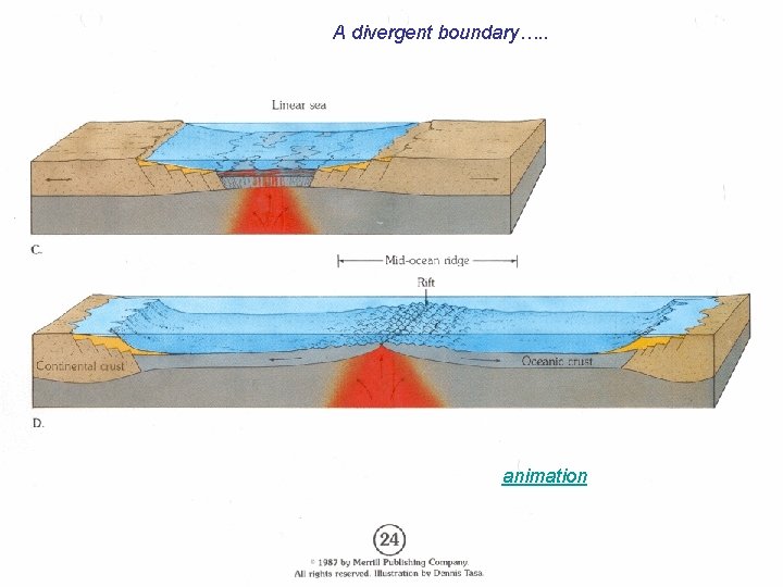 A divergent boundary…. . animation 