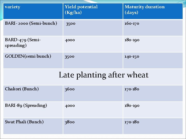 variety Yield potential (Kg/ha) Maturity duration (days) BARI- 2000 (Semi-bunch) 3500 160 -170 BARD-479