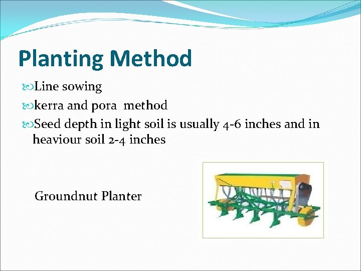 Planting Method Line sowing kerra and pora method Seed depth in light soil is