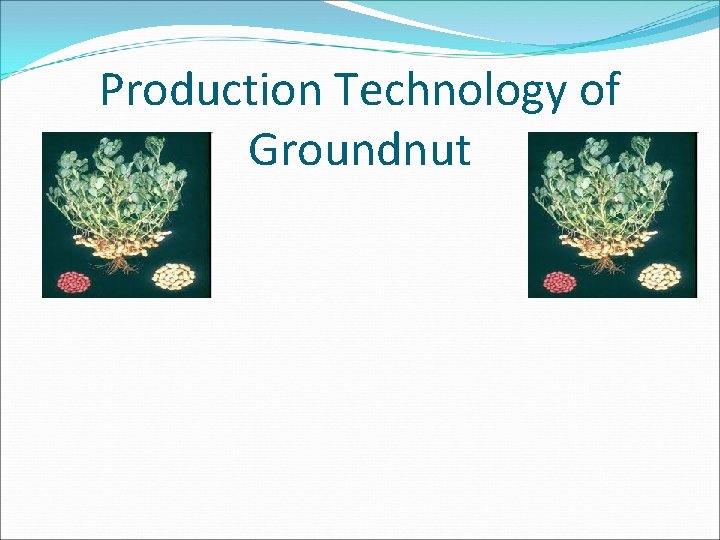 Production Technology of Groundnut 