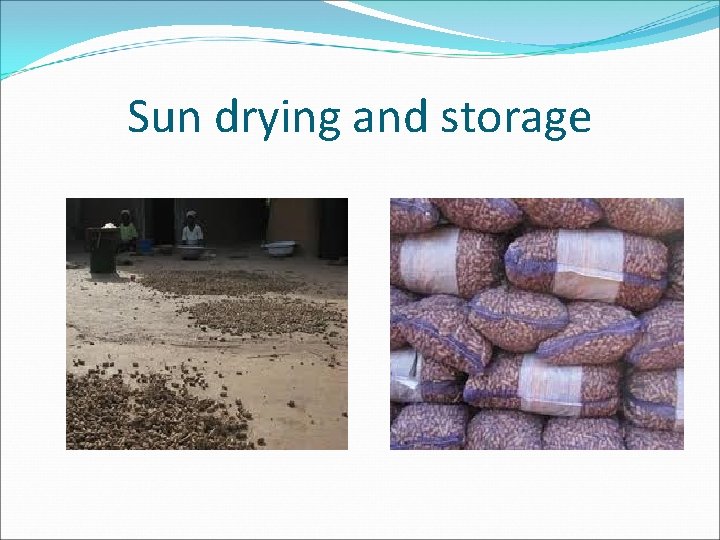 Sun drying and storage 