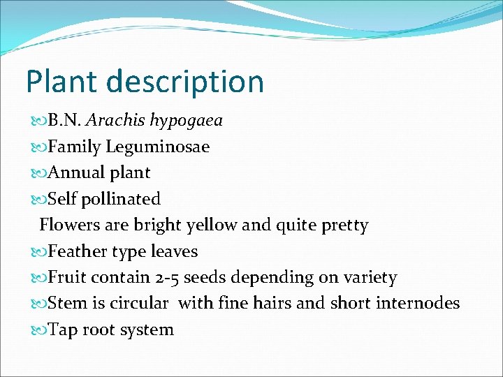 Plant description B. N. Arachis hypogaea Family Leguminosae Annual plant Self pollinated Flowers are