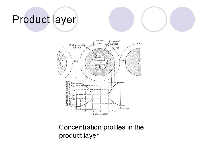 Product layer Concentration profiles in the product layer 