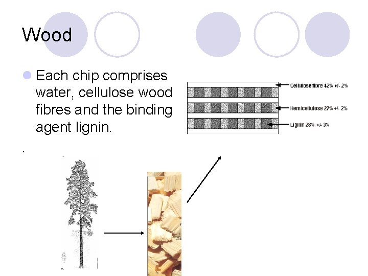 Wood l Each chip comprises water, cellulose wood fibres and the binding agent lignin.