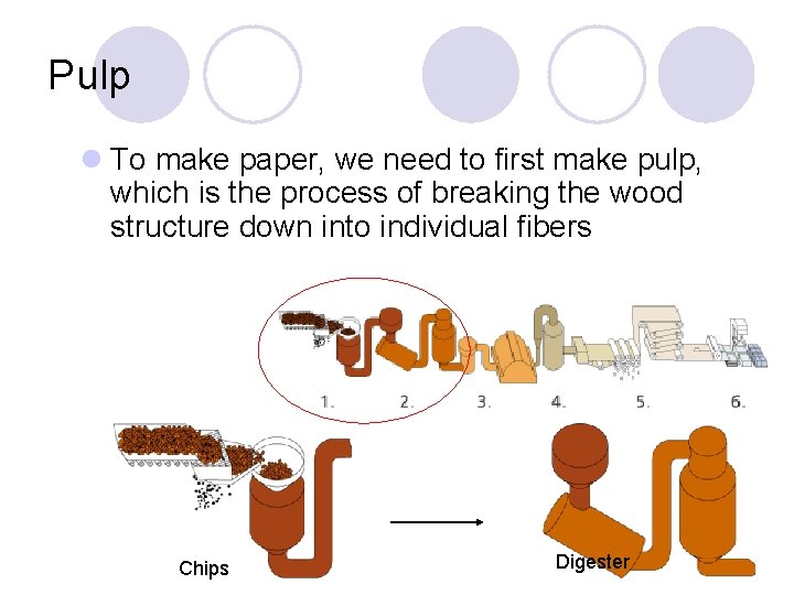 Pulp l To make paper, we need to first make pulp, which is the