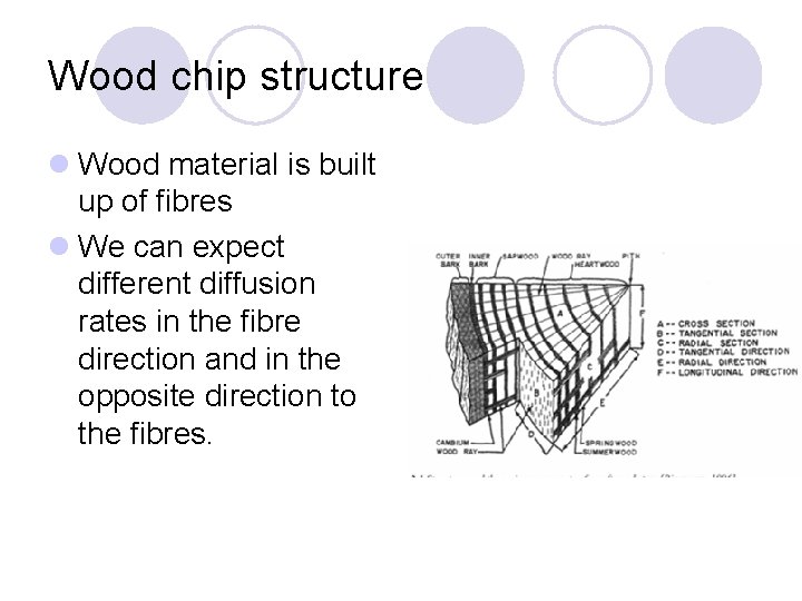 Wood chip structure l Wood material is built up of fibres l We can