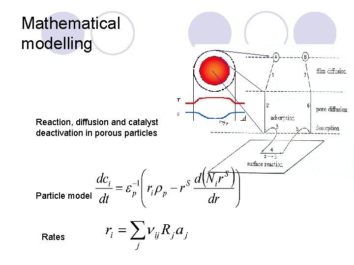 Mathematical modelling Reaction, diffusion and catalyst deactivation in porous particles Particle model Rates 