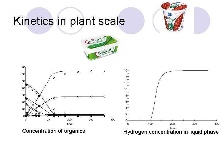 Kinetics in plant scale Concentration of organics Hydrogen concentration in liquid phase 