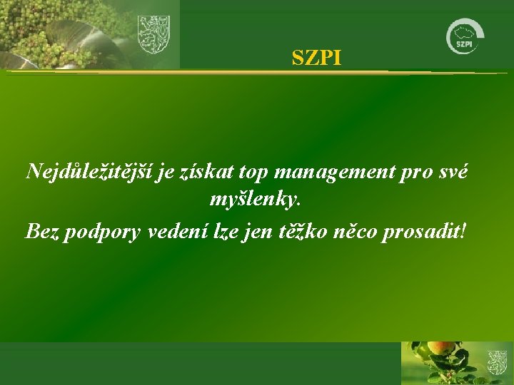 SZPI Nejdůležitější je získat top management pro své myšlenky. Bez podpory vedení lze jen