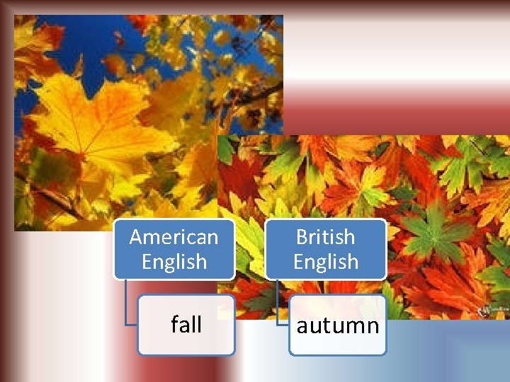 American English fall British English autumn 