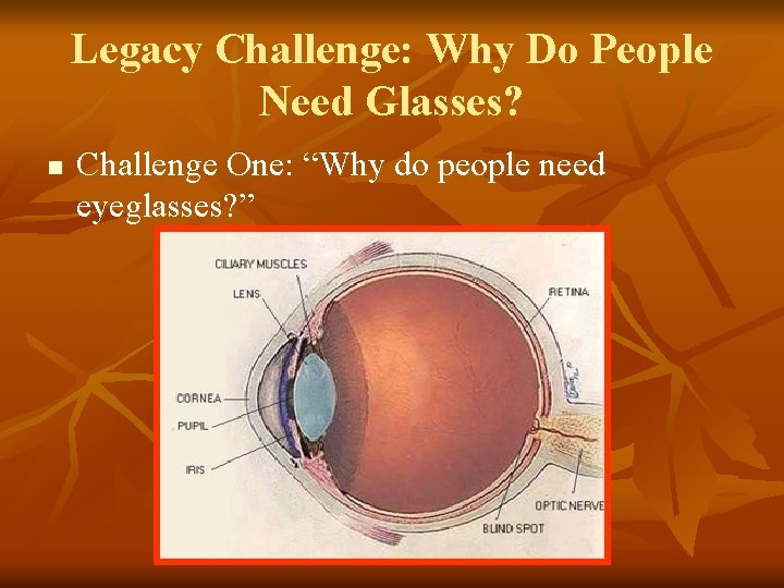 Legacy Challenge: Why Do People Need Glasses? n Challenge One: “Why do people need Legacy Challenge: Why Do People Need Glasses? n Challenge One: “Why do people need