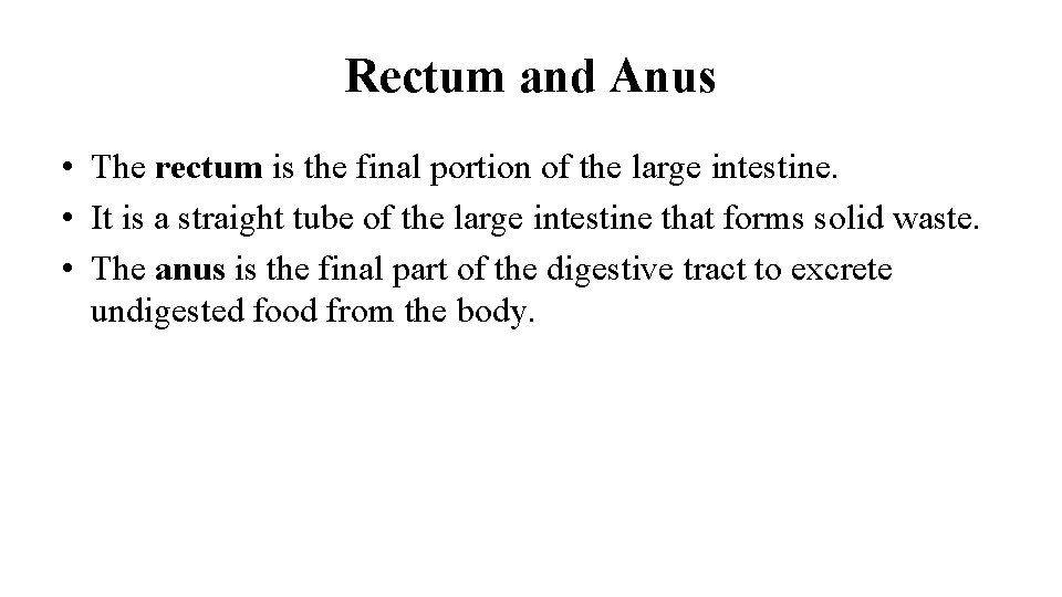Rectum and Anus • The rectum is the final portion of the large intestine.