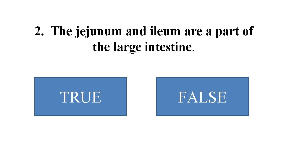 2. The jejunum and ileum are a part of the large intestine. TRUE FALSE