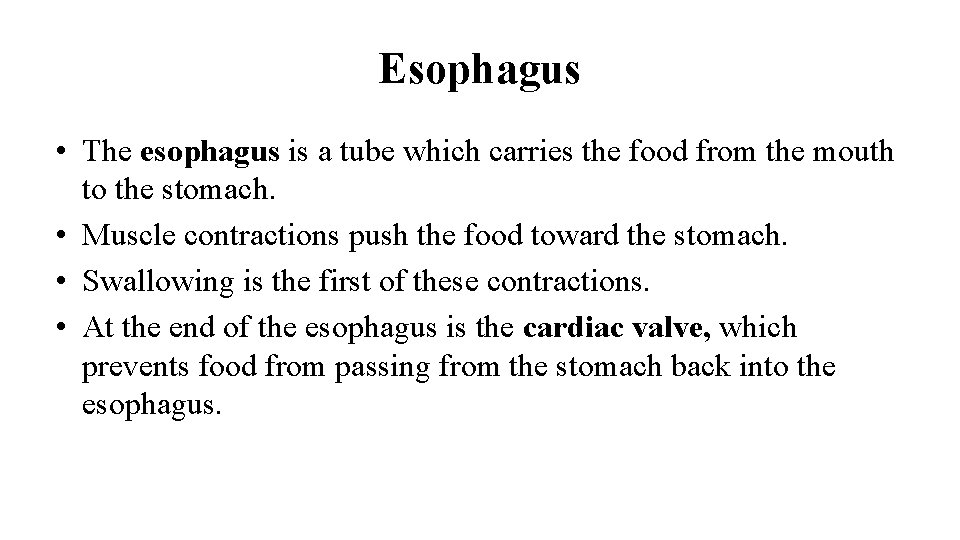 Esophagus • The esophagus is a tube which carries the food from the mouth