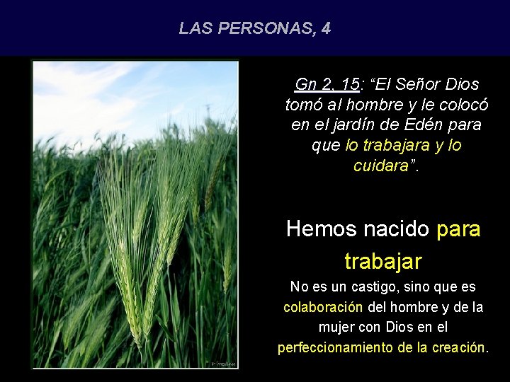 LAS PERSONAS, 4 Gn 2, 15: 15 “El Señor Dios tomó al hombre y
