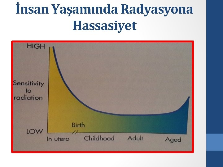 İnsan Yaşamında Radyasyona Hassasiyet 