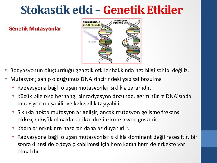 Stokastik etki – Genetik Etkiler Genetik Mutasyonlar • Radyasyonun oluşturduğu genetik etkiler hakkında net