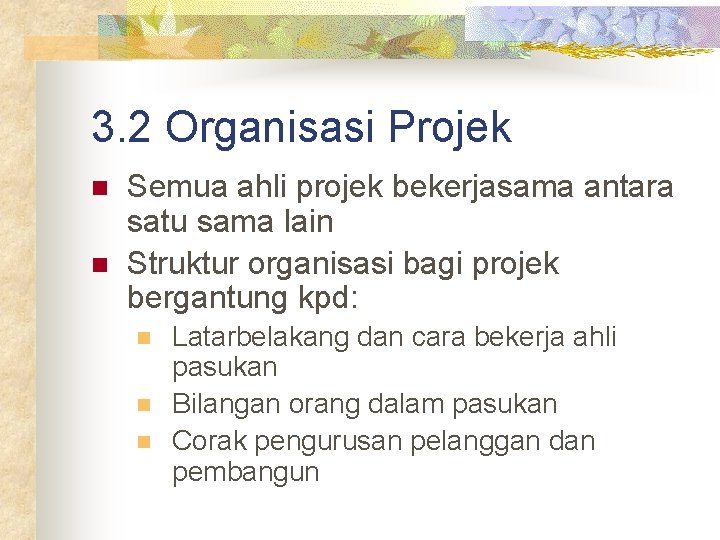 3. 2 Organisasi Projek n n Semua ahli projek bekerjasama antara satu sama lain