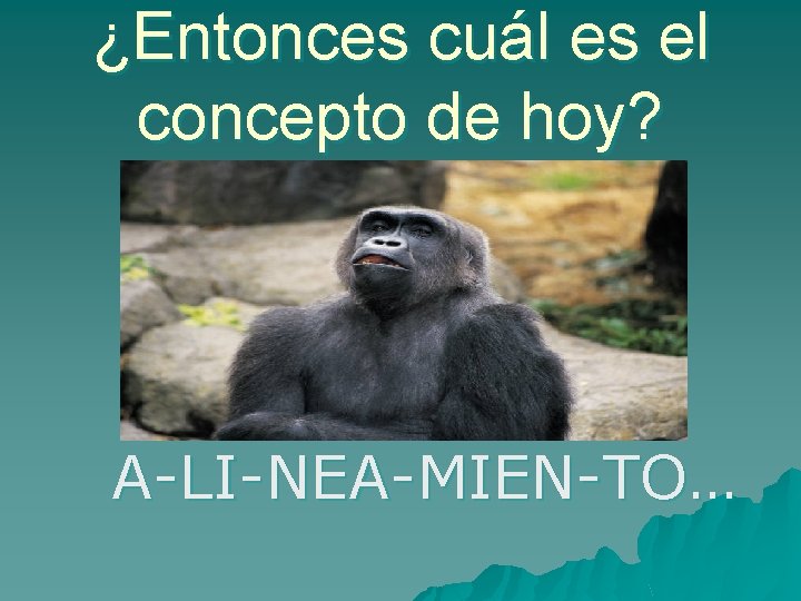 ¿Entonces cuál es el concepto de hoy? A-LI-NEA-MIEN-TO… 