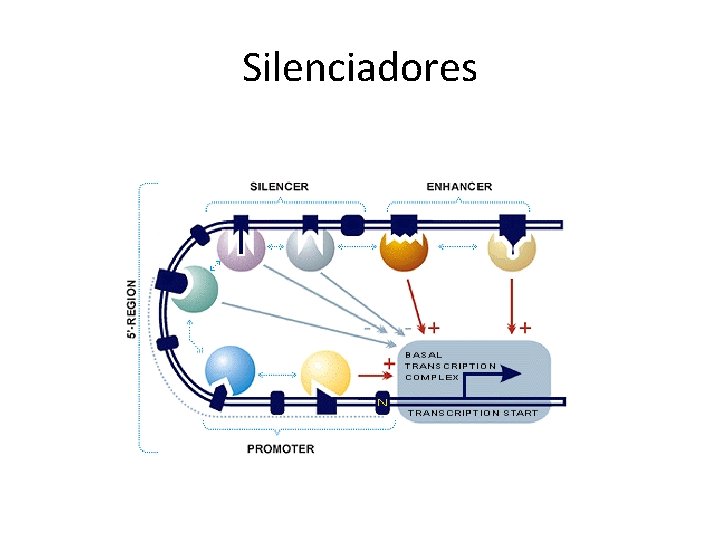 Silenciadores 