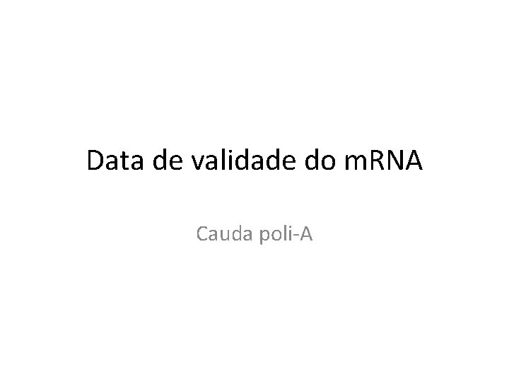 Data de validade do m. RNA Cauda poli-A 