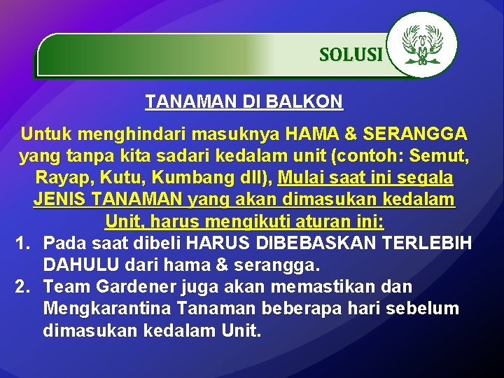 SOLUSI. …………… TANAMAN DI BALKON Untuk menghindari masuknya HAMA & SERANGGA yang tanpa kita